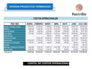CONTOL DE COSTOS OPERACIONALES