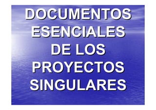 DOCUMENTOS
 ESENCIALES
   DE LOS
 PROYECTOS
SINGULARES
 