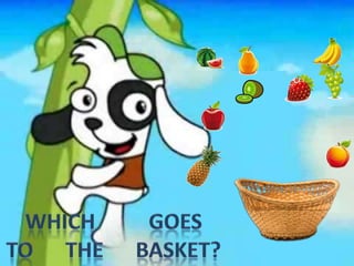 Presentacion doki automatico