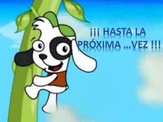 Presentacion doki automatico