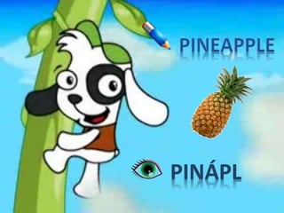 PINÁPL
 