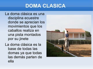 DOMA CLASICA  ,[object Object]