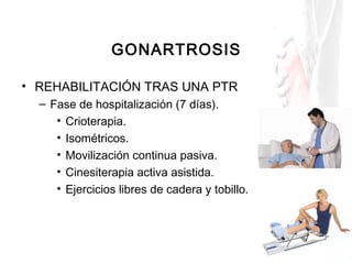GONARTROSIS
• REHABILITACIÓN TRAS UNA PTR
– Fase de hospitalización (7 días).
• Crioterapia.
• Isométricos.
• Movilización...