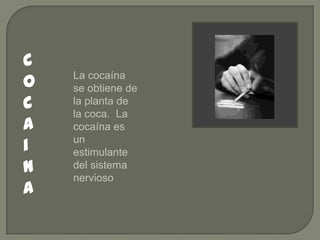 c
o
c
a
i
n
a

La cocaína
se obtiene de
la planta de
la coca. La
cocaína es
un
estimulante
del sistema
nervioso

 