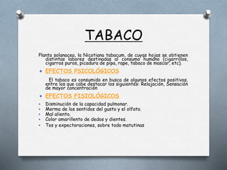 TABACO
Planta solanacea, la Nicotiana tabacum, de cuyas hojas se obtienen
distintas labores destinadas al consumo humano (cigarrillos,
cigarros puros, picadura de pipa, rape, tabaco de mascar, etc).
 EFECTOS PSICOLÓGICOS
El tabaco es consumido en busca de algunos efectos positivos,
entre los que cabe destacar los siguientes: Relajación, Sensación
de mayor concentración
 EFECTOS FISIOLÓGICOS
 Disminución de la capacidad pulmonar.
 Merma de los sentidos del gusto y el olfato.
 Mal aliento.
 Color amarillento de dedos y dientes.
 Tos y expectoraciones, sobre todo matutinas
 