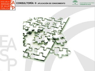 CONSULTORÍA     APLICACIÓN DE CONOCIMIENTO 