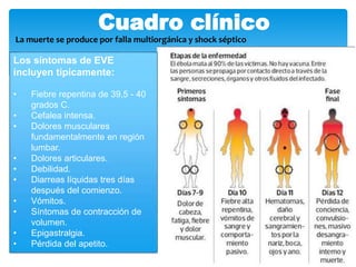 Presentacion ebola | PPTX