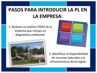 1. Realizar un análisis FODA de la empresa que incluya un diagnostico ambiental. PASOS PARA INTRODUCIR LA PL EN LA EMPRESA: 2. Identificar la disponibilidad de recursos naturales y la infraestructura de la región. 