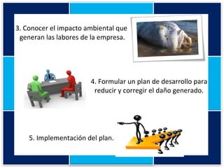 3. Conocer el impacto ambiental que  generan las labores de la empresa. 4. Formular un plan de desarrollo para reducir y corregir el daño generado. 5. Implementación del plan. 