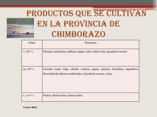 Productos que se cultivan en la Provincia de ChimborazoFuente: MAG