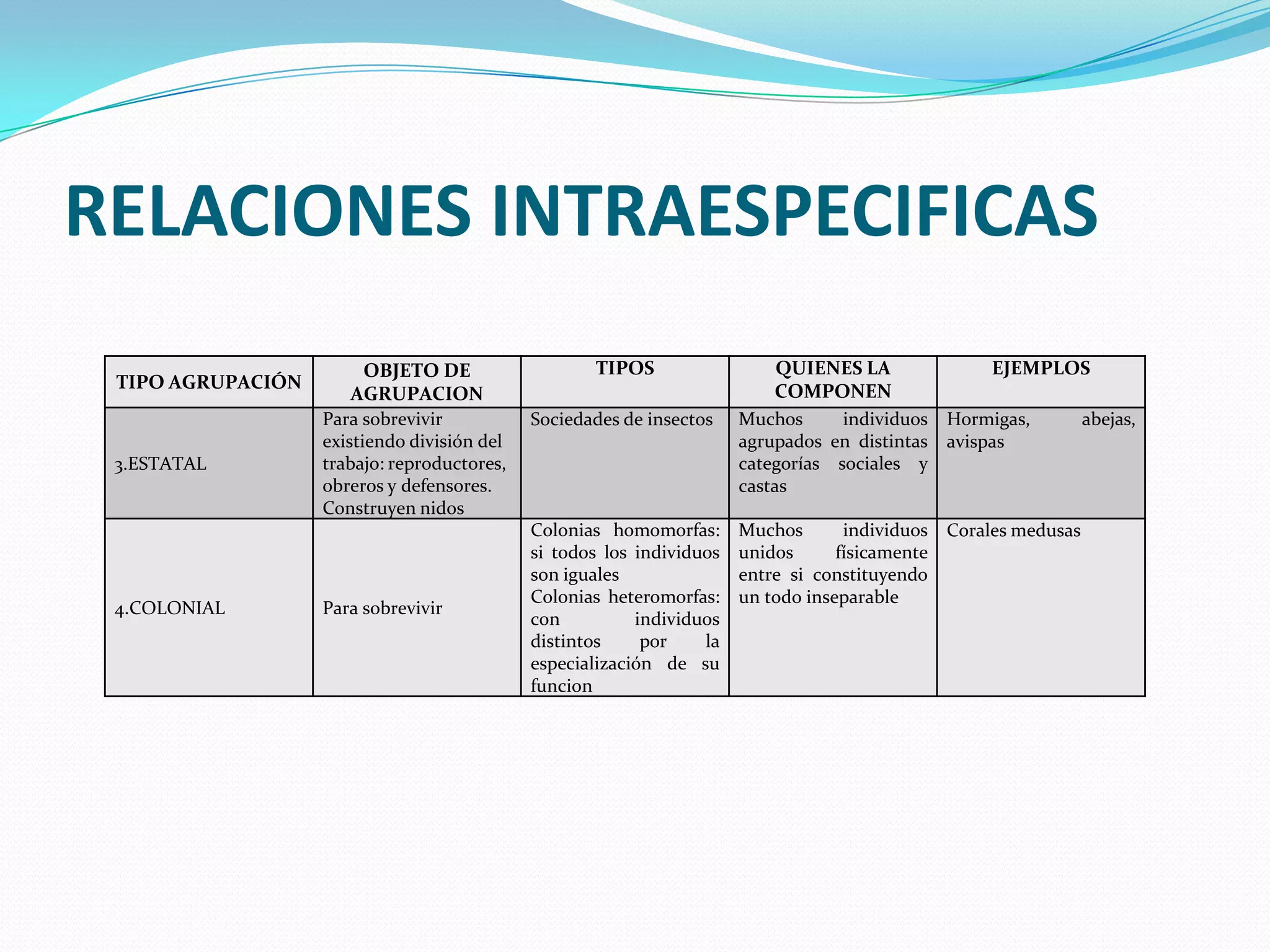 RELACIONES INTRAESPECIFICAS
                         OBJETO DE                  TIPOS                   QUIENES LA             EJEMPLOS
 TIPO AGRUPACIÓN                                                           COMPONEN
                       AGRUPACION
                   Para sobrevivir           Sociedades de insectos    Muchos      individuos Hormigas,   abejas,
                   existiendo división del                             agrupados en distintas avispas
 3.ESTATAL         trabajo: reproductores,                             categorías sociales y
                   obreros y defensores.                               castas
                   Construyen nidos
                                             Colonias homomorfas:      Muchos       individuos   Corales medusas
                                             si todos los individuos   unidos      físicamente
                                             son iguales               entre si constituyendo
                                             Colonias heteromorfas:    un todo inseparable
 4.COLONIAL        Para sobrevivir
                                             con          individuos
                                             distintos     por    la
                                             especialización de su
                                             funcion
 