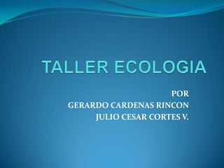 POR
GERARDO CARDENAS RINCON
     JULIO CESAR CORTES V.
 