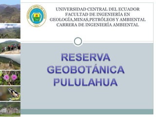 UNIVERSIDAD CENTRAL DEL ECUADOR
     FACULTAD DE INGENIERÍA EN
GEOLOGÍA,MINAS,PETRÓLEOS Y AMBIENTAL
  CARRERA DE INGENIERÍA AMBIENTAL
 