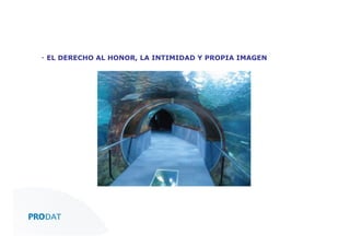 ▪  EL DERECHO AL HONOR, LA INTIMIDAD Y PROPIA IMAGEN

CONSULTORES • AUDITORES • OUTSOURCING

 