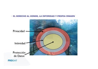 ▪  EL DERECHO AL HONOR, LA INTIMIDAD Y PROPIA IMAGEN

CONSULTORES • AUDITORES • OUTSOURCING

 