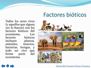 Los Ecositemas | PPTX