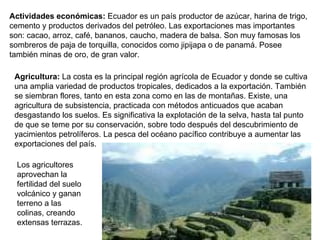 Actividades económicas:  Ecuador es un país productor de azúcar, harina de trigo, cemento y productos derivados del petróleo. Las exportaciones mas importantes son: cacao, arroz, café, bananos, caucho, madera de balsa. Son muy famosas los sombreros de paja de torquilla, conocidos como jipijapa o de panamá. Posee también minas de oro, de gran valor.  Agricultura:  La costa es la principal región agrícola de Ecuador y donde se cultiva una amplia variedad de productos tropicales, dedicados a la exportación. También se siembran flores, tanto en esta zona como en las de montañas. Existe, una agricultura de subsistencia, practicada con métodos anticuados que acaban desgastando los suelos. Es significativa la explotación de la selva, hasta tal punto de que se teme por su conservación, sobre todo después del descubrimiento de yacimientos petrolíferos. La pesca del océano pacífico contribuye a aumentar las exportaciones del país. Los agricultores aprovechan la fertilidad del suelo volcánico y ganan terreno a las colinas, creando extensas terrazas.  