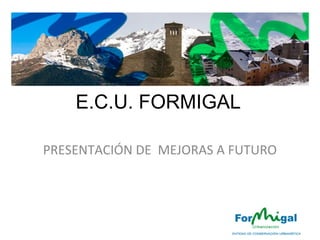 E.C.U. FORMIGAL
PRESENTACIÓN DE MEJORAS A FUTURO
 