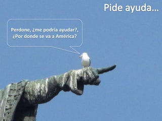Perdone, ¿me podría ayudar?,
¿Por donde se va a América?
 