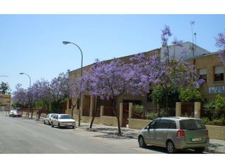 Presentacion Edificio