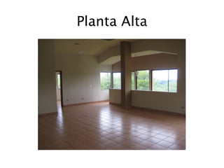 Planta Alta
 