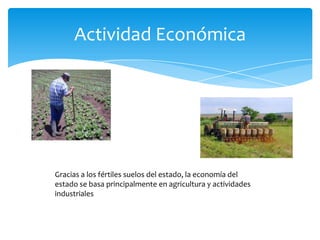Actividad Económica

Gracias a los fértiles suelos del estado, la economía del
estado se basa principalmente en agricultura y actividades
industriales

 