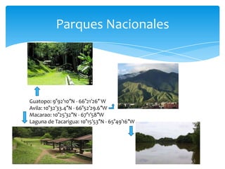 Parques Nacionales

Guatopo: 9°92′10″N - 66°21′26″ W
Avila: 10°32′33.4″N - 66°52′29.6″W
Macarao: 10°25′32″N - 67°1′58″W
Laguna de Tacarigua: 10°15′53″N - 65°49′16″W

 