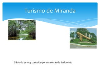 Turismo de Miranda

El Estado es muy conocido por sus costas de Barlovento

 