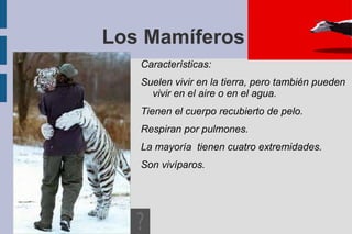 Antes de empezar: Antes de comenzar la explicación de los tipos de vertebrados, repasaremos lo que hemos visto anteriormente. Para ello, vamos a realizar esta actividad de repaso en la que hay que diferenciar animales invertebrados de los vertebrados.  Antes, recuerda: Los animales vertebrados son aquellos que poseen esqueleto interno. 