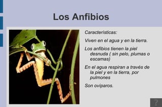 Pincha en este enlace, y accede al blog donde deberás leer la entrada: “Actividad de Conocimiento del Medio y pinchar su enlace. 