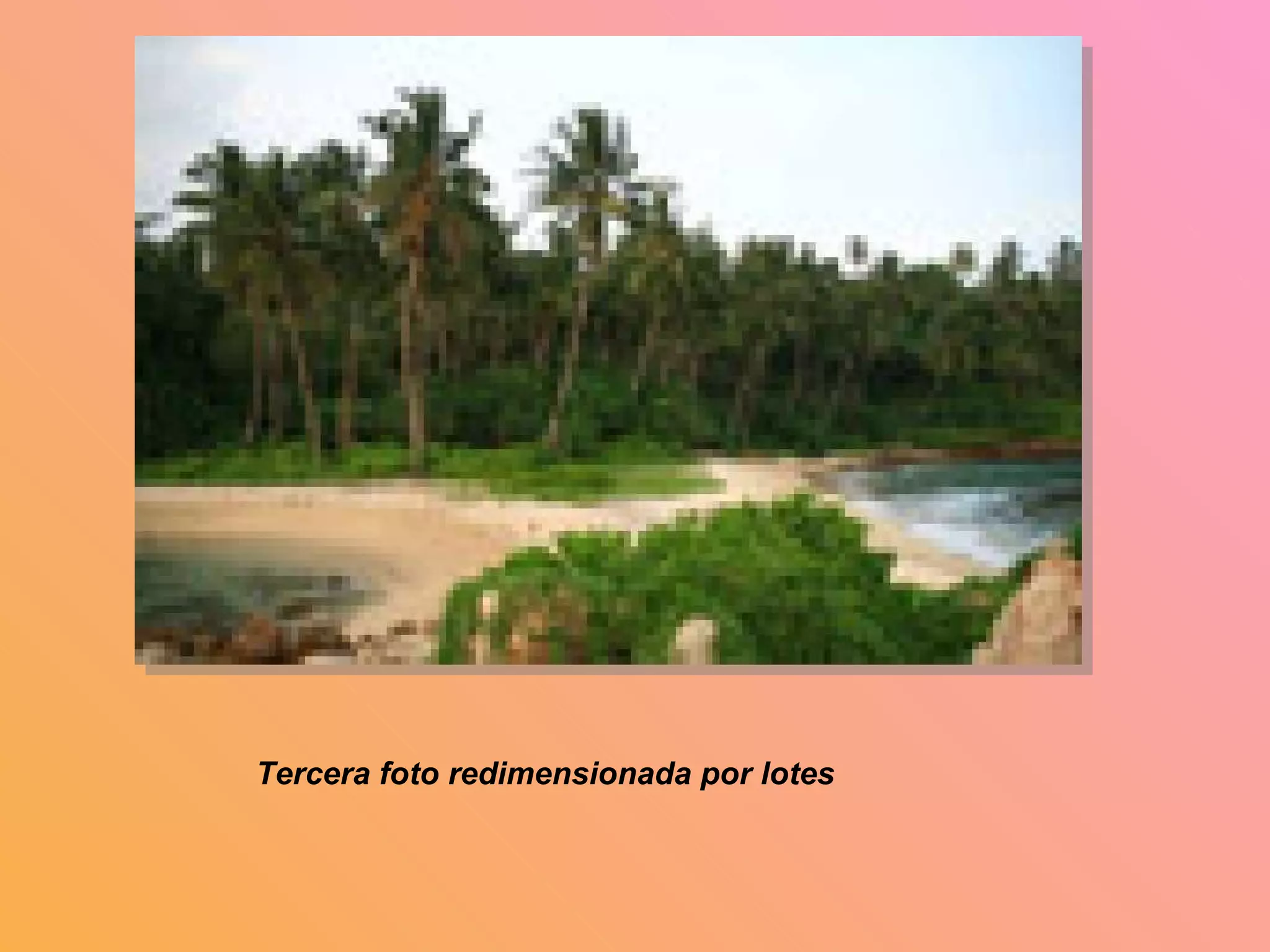 Tercera foto redimensionada por lotes 