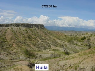 Huila
572200 ha
 