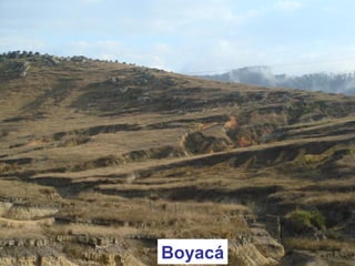 Boyacá
 