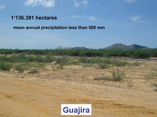 Guajira
1’136.381 hectares
mean annual precipitation less than 500 mm
 