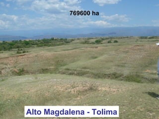 Alto Magdalena - Tolima
769600 ha
 