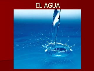 EL AGUA 