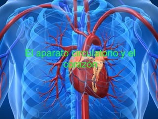 El aparato circulatorio y el
corazón
 