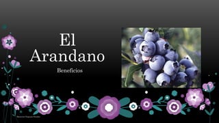 El
Arandano
Beneficios
Maricrist Chiguala Paredes
 