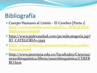 BibliografíaCuerpo Humano al Límite - El Cerebro [Parte 1] http://www.youtube.com/watch?v=_PPXUjOH4FM&feature=relatedhttp://www.pulevasalud.com/ps/subcategoria.jsp?ID_CATEGORIA=3393http://www.molwick.com/es/cerebro/115-cerebro-humano.htmlhttp://www.javeriana.edu.co/Facultades/Ciencias/neurobioquimica/libros/neurobioquimica/CEREBRO.htm