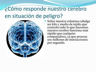 ¿Cómo responde nuestro cerebro en situación de peligro?Sobre nuestra columna cabalga un kilo y medio de tejido que controla todo lo que hacemos, nuestro cerebro funciona más rápido que cualquier computadora, ya que procesa 100 millones de instrucciones por segundo.