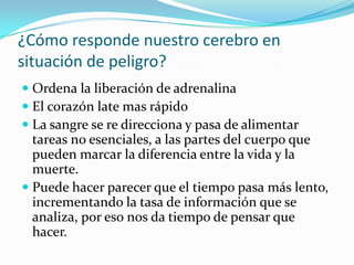 ¿Cómo responde nuestro cerebro en situación de peligro?Ordena la liberación de adrenalinaEl corazón late mas rápidoLa sangre se re direcciona y pasa de alimentar tareas no esenciales, a las partes del cuerpo que pueden marcar la diferencia entre la vida y la muerte. Puede hacer parecer que el tiempo pasa más lento, incrementando la tasa de información que se analiza, por eso nos da tiempo de pensar que hacer.