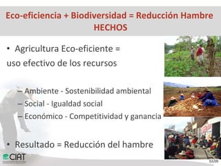 Hechos y Desafíos para una Agricultura Eco-eficiente para Combatir el Hambre