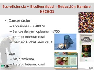 Hechos y Desafíos para una Agricultura Eco-eficiente para Combatir el Hambre