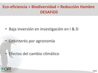 Hechos y Desafíos para una Agricultura Eco-eficiente para Combatir el Hambre