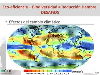 Hechos y Desafíos para una Agricultura Eco-eficiente para Combatir el Hambre