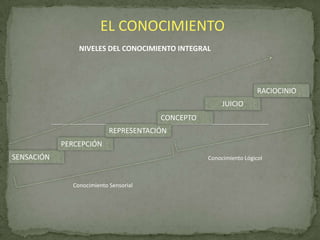 EL CONOCIMIENTO
NIVELES DEL CONOCIMIENTO INTEGRAL

RACIOCINIO
JUICIO
CONCEPTO
REPRESENTACIÓN

PERCEPCIÓN
SENSACIÓN

Conocimiento Lógicol

Conocimiento Sensorial

 