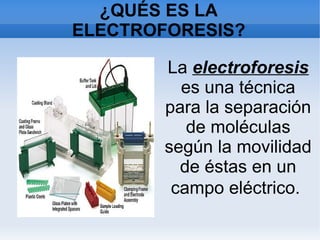 ¿QUÉS ES LA
ELECTROFORESIS?
La electroforesis
es una técnica
para la separación
de moléculas
según la movilidad
de éstas en un
campo eléctrico.
 
