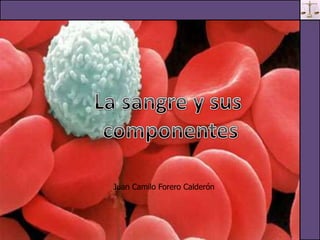 Presentacion Electronica