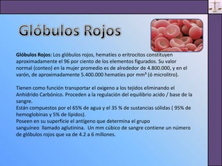 Presentacion Electronica