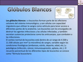 Presentacion Electronica